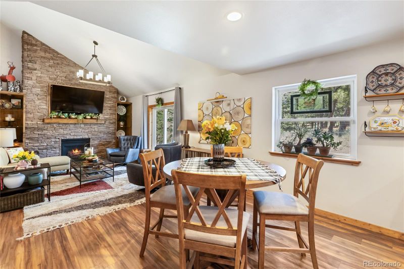 130 Paint Pony Ln, Florissant, CO 80816