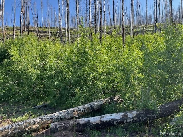 Lot 835 Slaoui Pl, Fort Garland, CO 81133