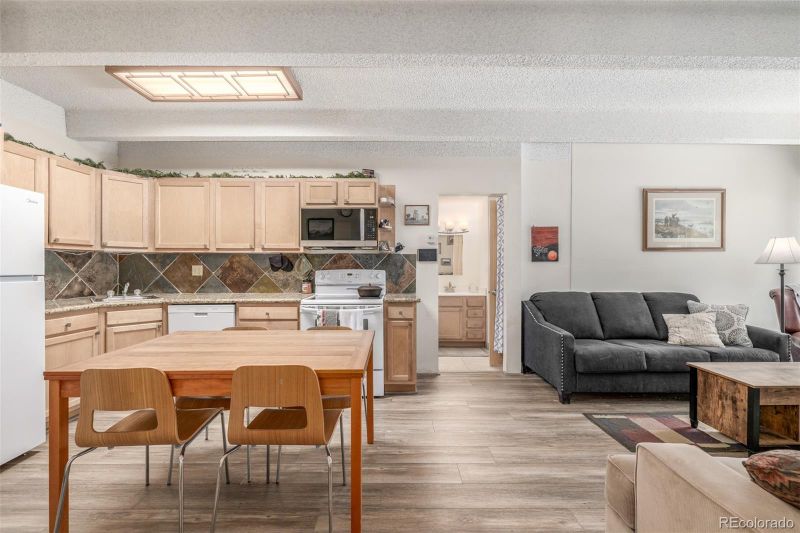 200 Granite St #102, Frisco, CO 80443