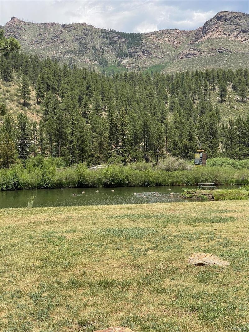 57920 Us Highway 285 #23/24, Bailey, CO 80421