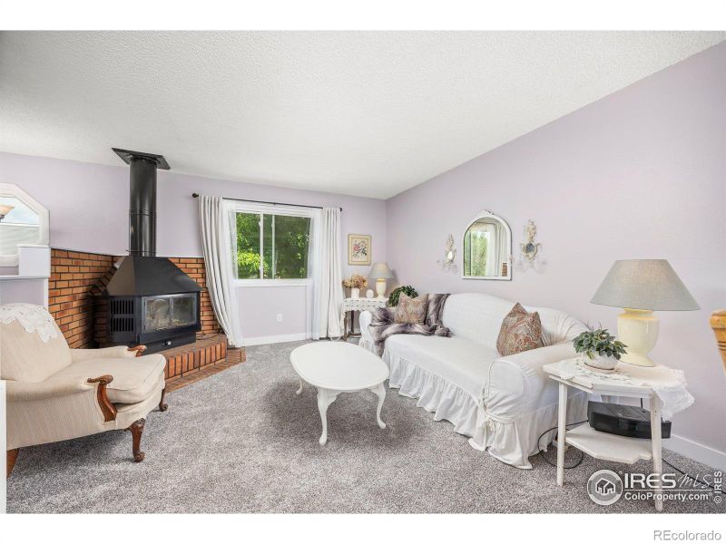 1107 Nantucket St, Windsor, CO 80550