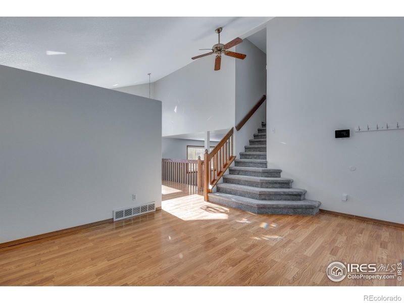 2325 Steele St, Longmont, CO 80501