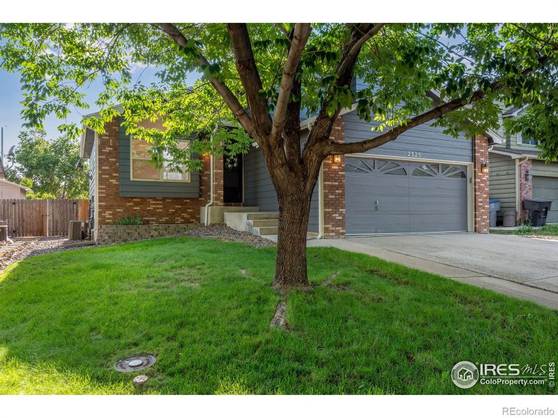 2325 Steele St, Longmont, CO 80501