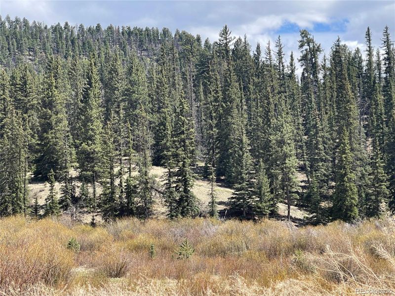 00 Wildhorn Rd, Florissant, CO 80816