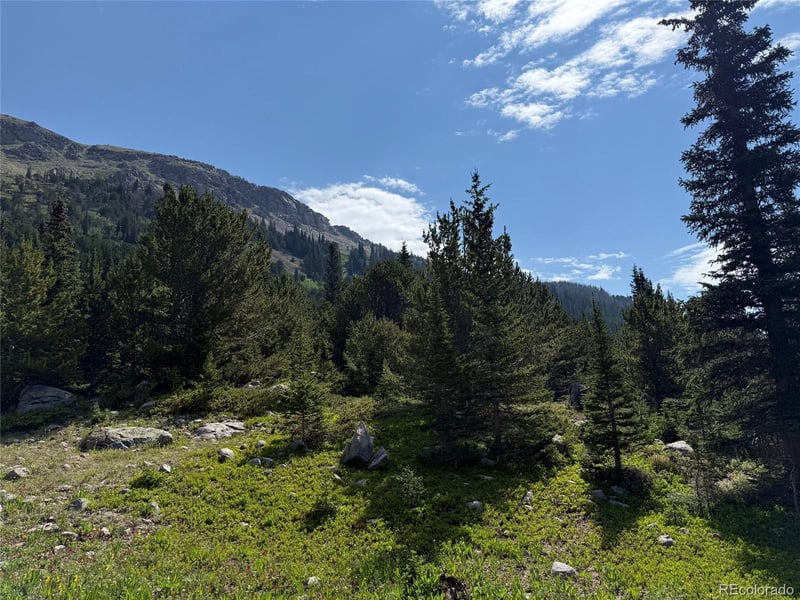 3802 Fourth Of July Rd, Nederland, CO 80466