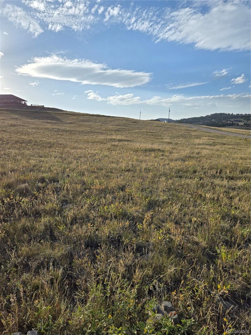 443 Meadow Mountain Dr, Livermore, CO 80536