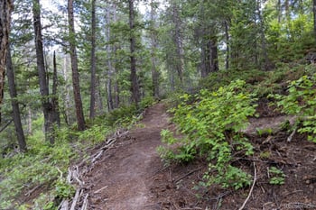 31429 Burke Rd Lot 2, Golden, CO 80403