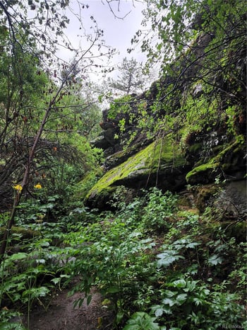 31429 Burke Rd Lot 2, Golden, CO 80403
