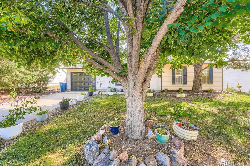 1183 S Biscay St, Aurora, CO 80017