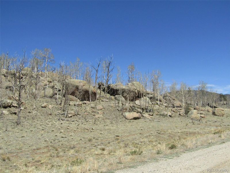 1868 Ute Tc Lot 342, Hartsel, CO 80449