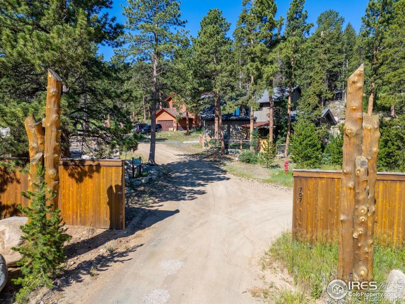 709 Mcmillen Way, Nederland, CO 80466