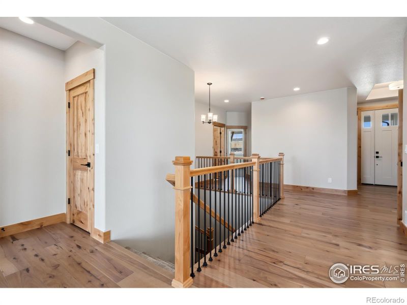 809 Loess Ln, Windsor, CO 80550