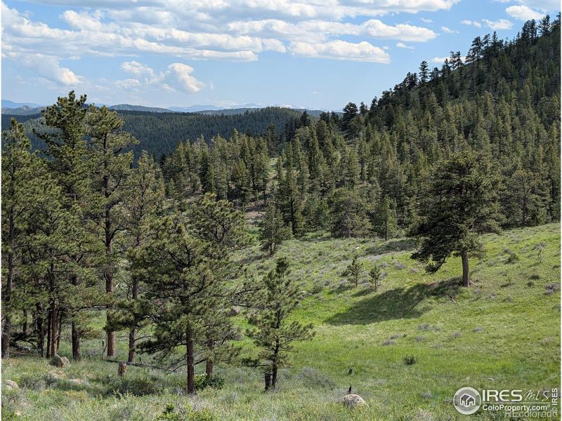 2898 Red Ashby Rd, Livermore, CO 80536