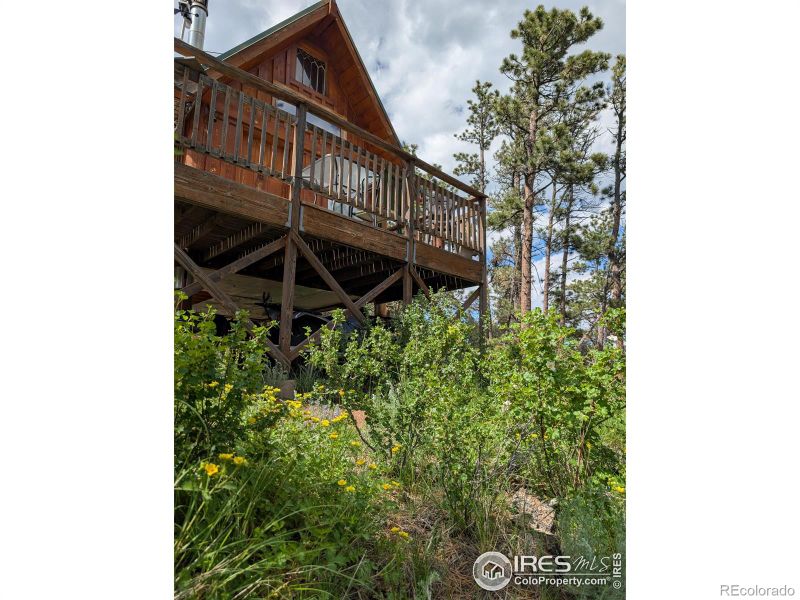 2898 Red Ashby Rd, Livermore, CO 80536