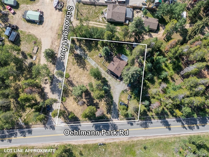22656 Oehlmann Park Rd, Conifer, CO 80433