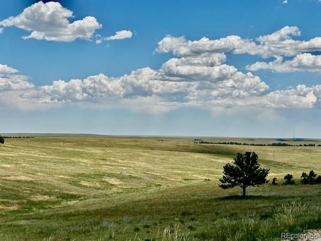 000 Ridge Rd, Ramah, CO 80832