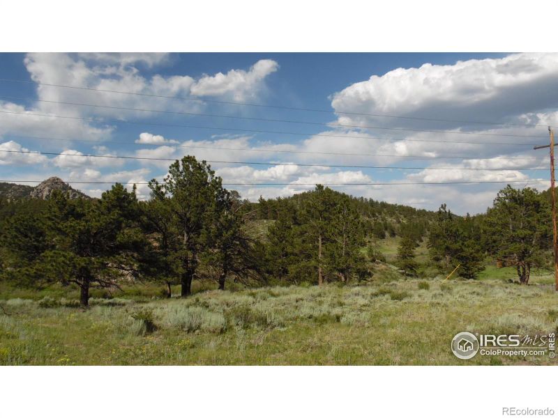 5676 W County Road 68c, Red Feather Lakes, CO 80545
