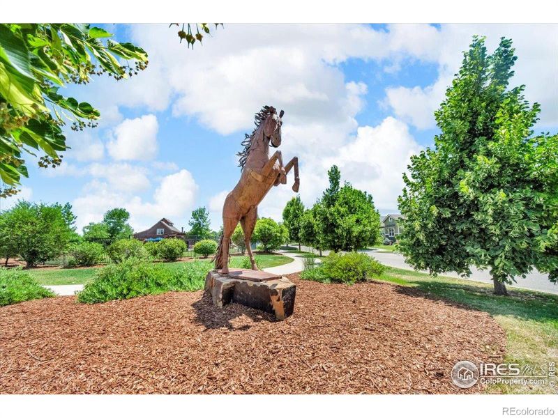 1968 Blue Yonder Way, Fort Collins, CO 80525