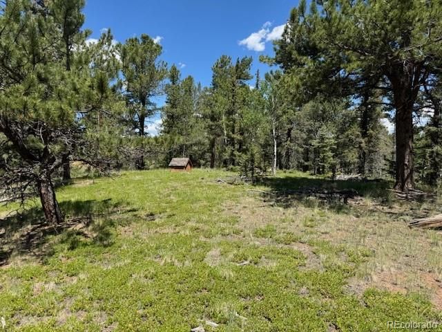209 Kenosha Cir, Divide, CO 80814