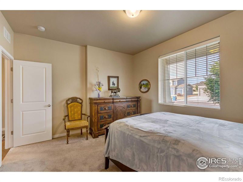 7213 Horsechestnut St, Wellington, CO 80549