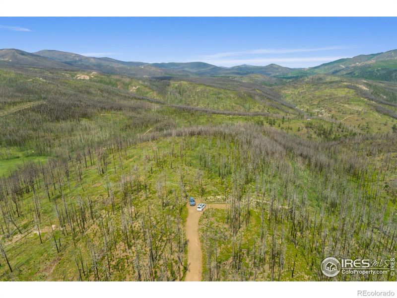 1025 Crystal Mountain Rd, Bellvue, CO 80512