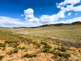 231 S Muley Gulch Dr Lot 10, Hartsel, CO 80449