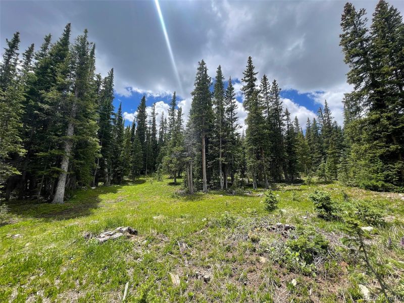 30 Hermit Ct, Fairplay, CO 80440