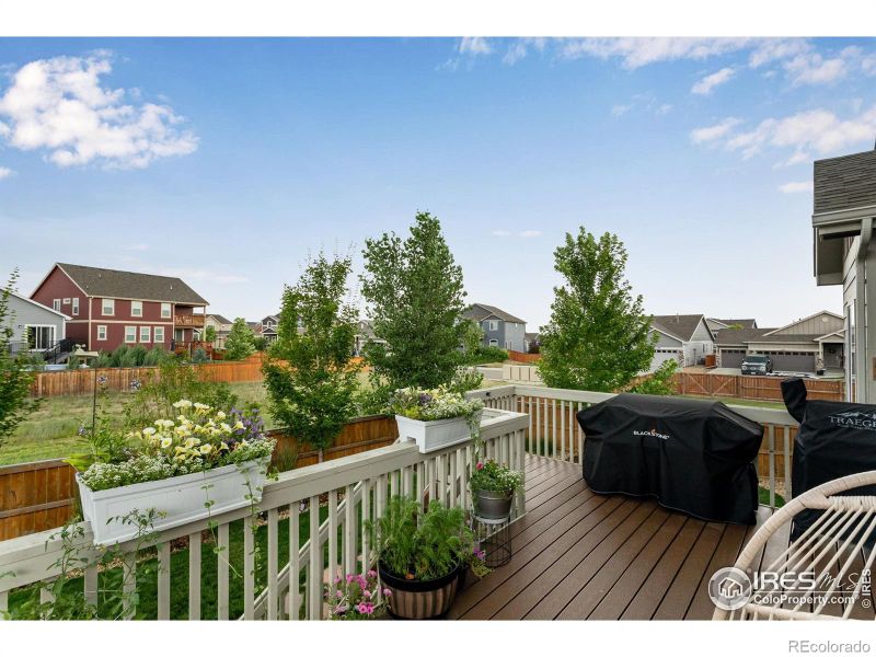 1272 Baker Pass St, Severance, CO 80550