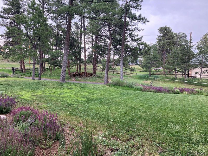 8324 E Summit Rd, Parker, CO 80138