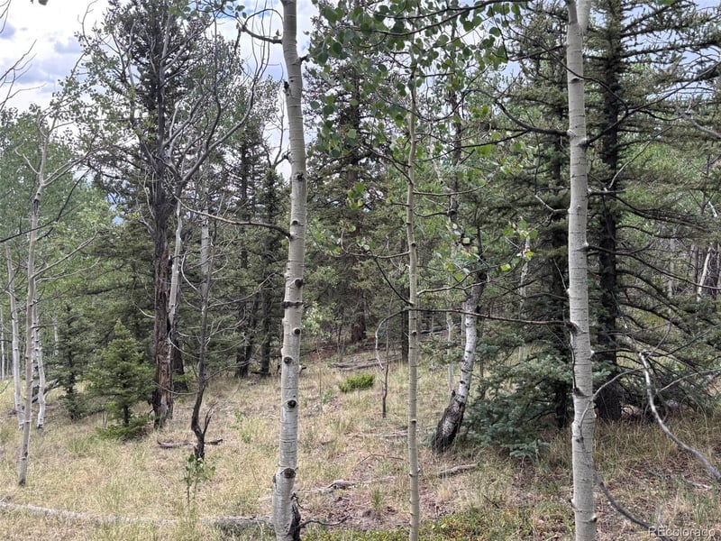 1928 Wells Fargo Cir, Jefferson, CO 80456