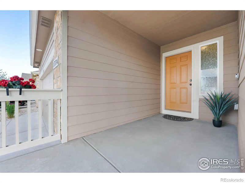 1774 Thrive Dr, Windsor, CO 80550