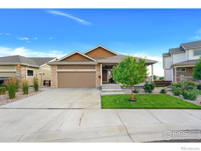 1774 Thrive Dr, Windsor, CO 80550