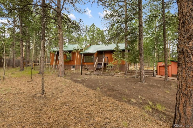 1343 Terri Ln, Woodland Park, CO 80863