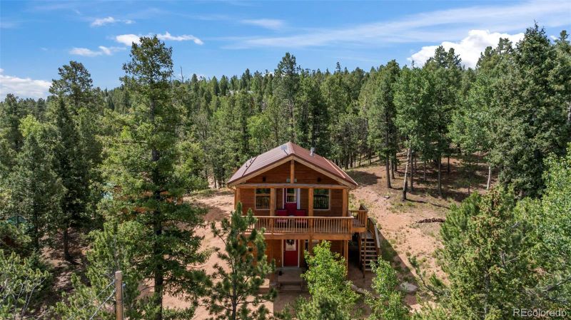 454 Wakanda Trl, Woodland Park, CO 80863