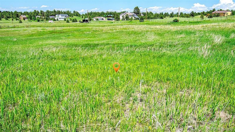 17255 Forest Green Way Lot 70, Elbert, CO 80106