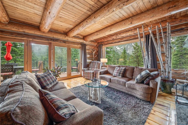 336 Crest Dr, Idaho Springs, CO 80452