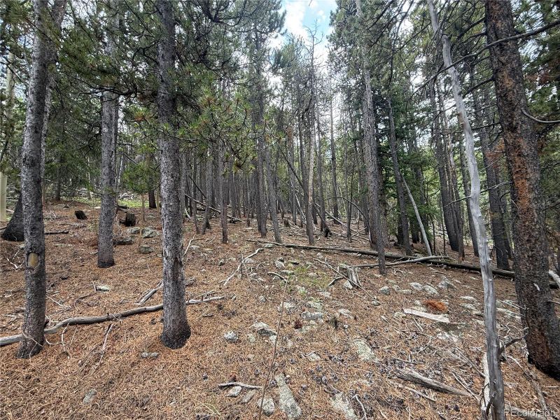 3747 S Spring Gulch Rd, Idaho Springs, CO 80452
