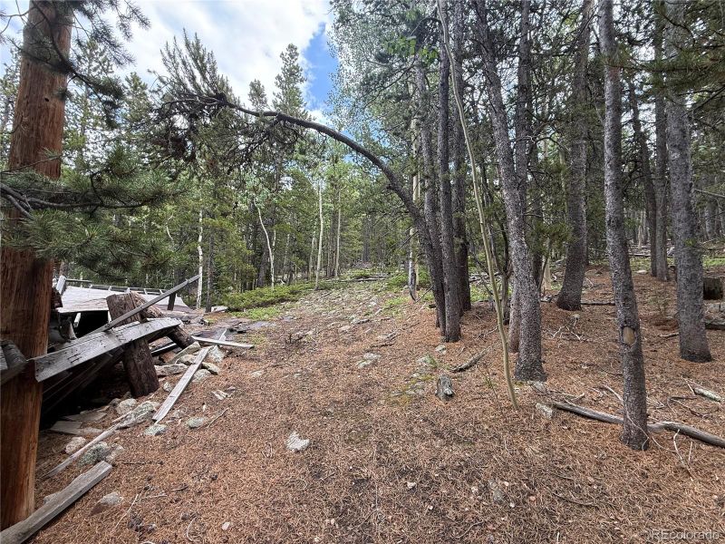3747 S Spring Gulch Rd, Idaho Springs, CO 80452