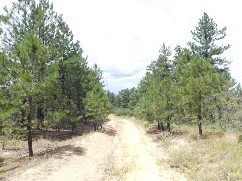 7069 Pasque Ct, Larkspur, CO 80118