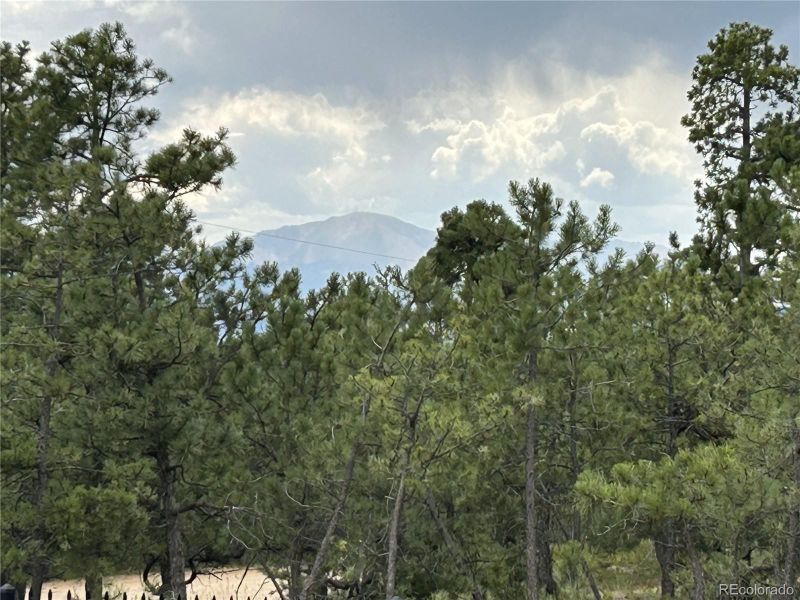7780 Mcferran Rd, Colorado Springs, CO 80908