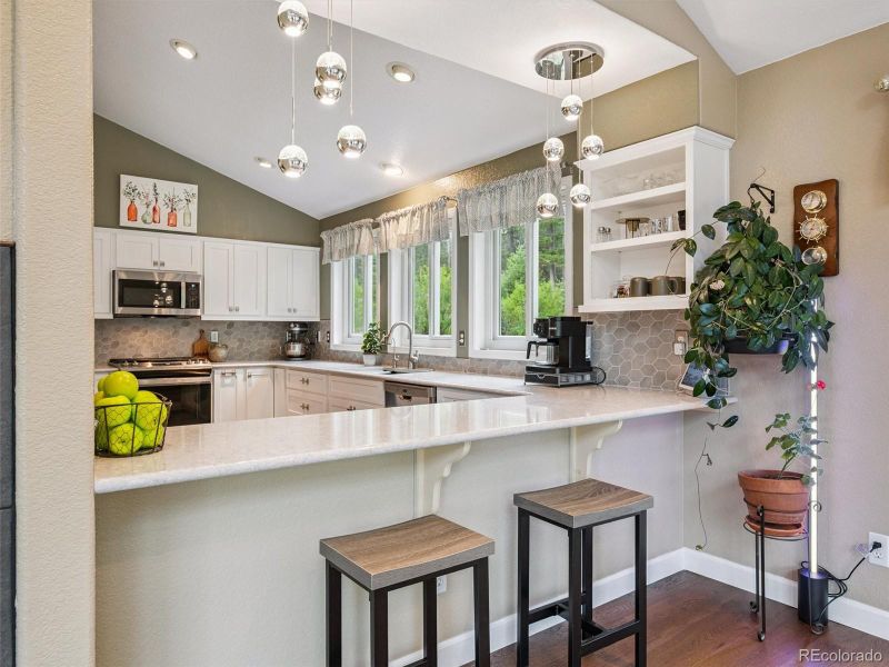31361 Shadow Mountain Dr, Conifer, CO 80433