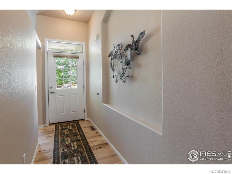 515 Limber Pine Ct, Severance, CO 80550
