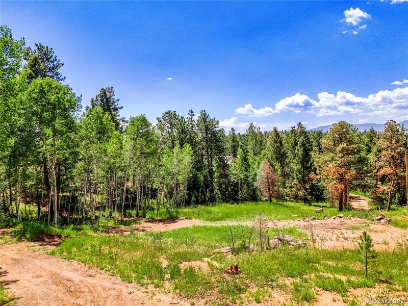 12286 Styve Rd, Conifer, CO 80433