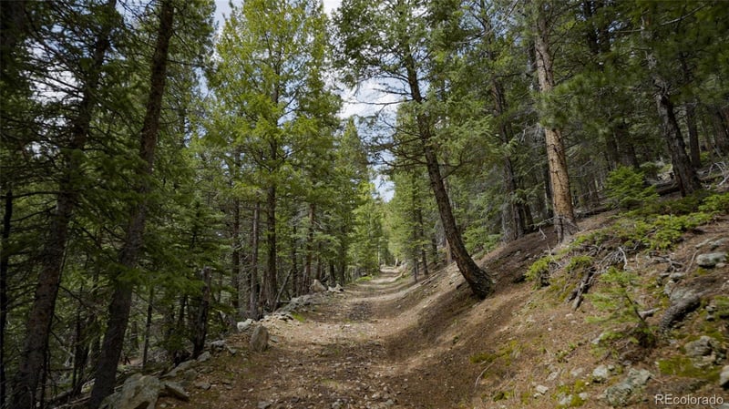 950 Corral Creek Rd, Evergreen, CO 80439