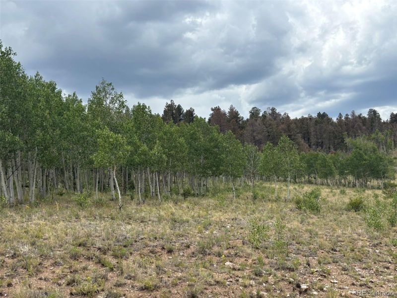 1625 Athapascan Rd, Hartsel, CO 80449