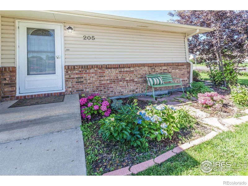 205 Maple Ct, Windsor, CO 80550