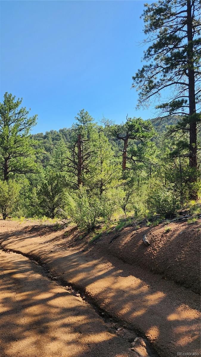 TBD L 43rd Trl, Cotopaxi, CO 81223