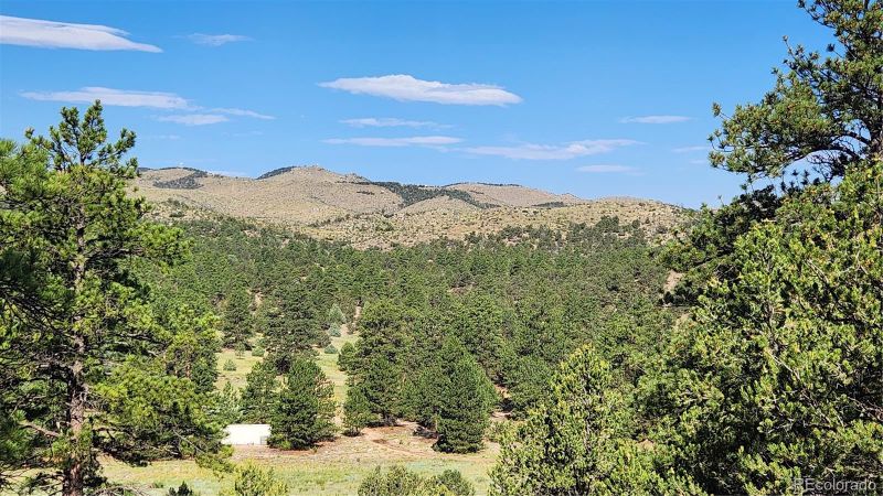 TBD L 43rd Trl, Cotopaxi, CO 81223