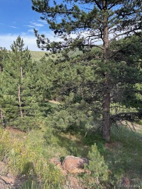 Sawmill Rd, Canon City, CO 81212