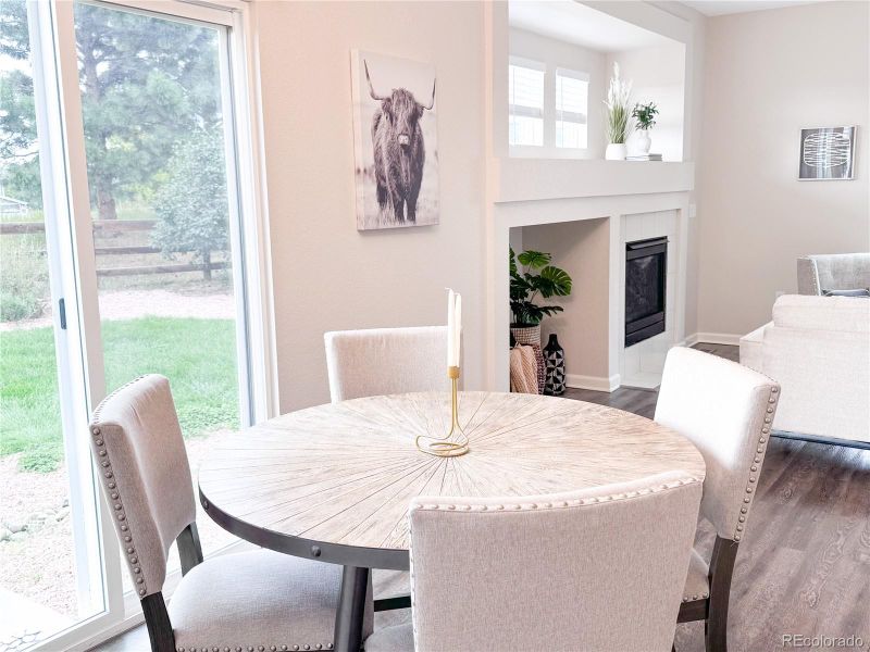 2934 Feather Ct, Castle Rock, CO 80109